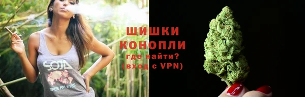 PSILOCYBIN Арсеньев