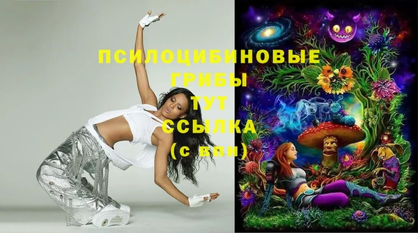 МДПВ Долгопрудный