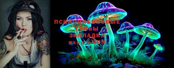 мдпв Армянск
